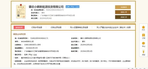 小鵬汽車深化產業布局 1億元設立新能源投資公司，分公司注冊同步啟動